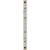 Fita LED Direta 2835 7W/m IP65 127V 6.500K - 50m